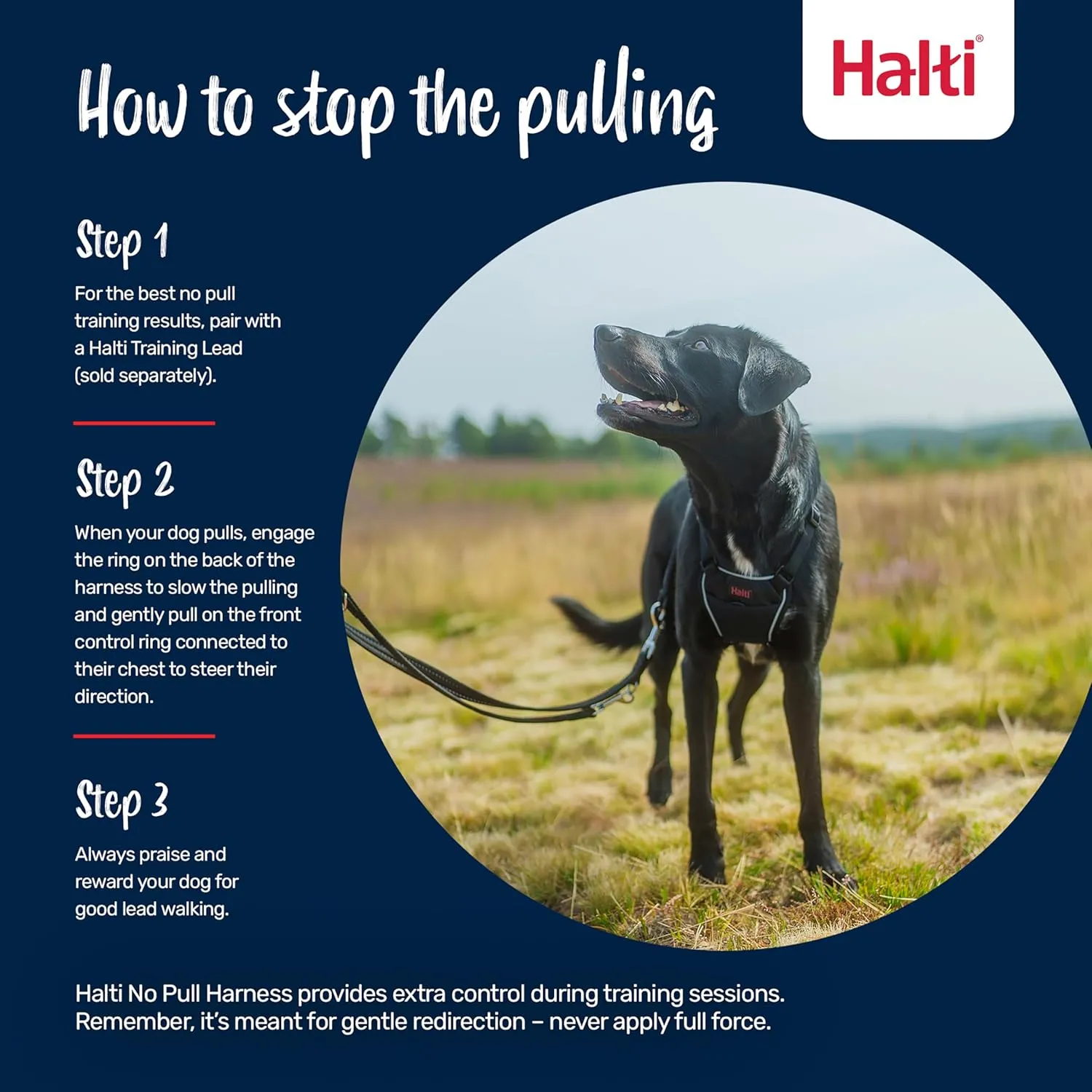 HALTI No Pull Harness - To Stop Your Dog Pulling on the Leash. Adjustable, Lightweight and Easy to Use. Reflective Dog Training Harness for Medium Dogs (Size M)