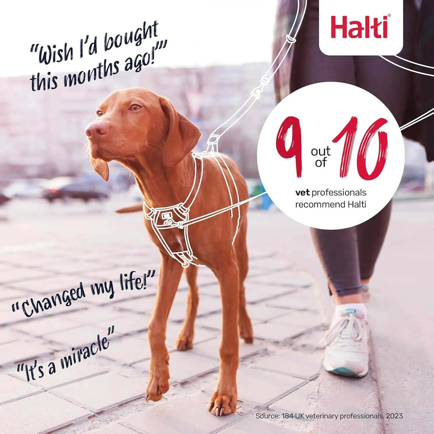 HALTI No Pull Harness - To Stop Your Dog Pulling on the Leash. Adjustable, Lightweight and Easy to Use. Reflective Dog Training Harness for Medium Dogs (Size M)
