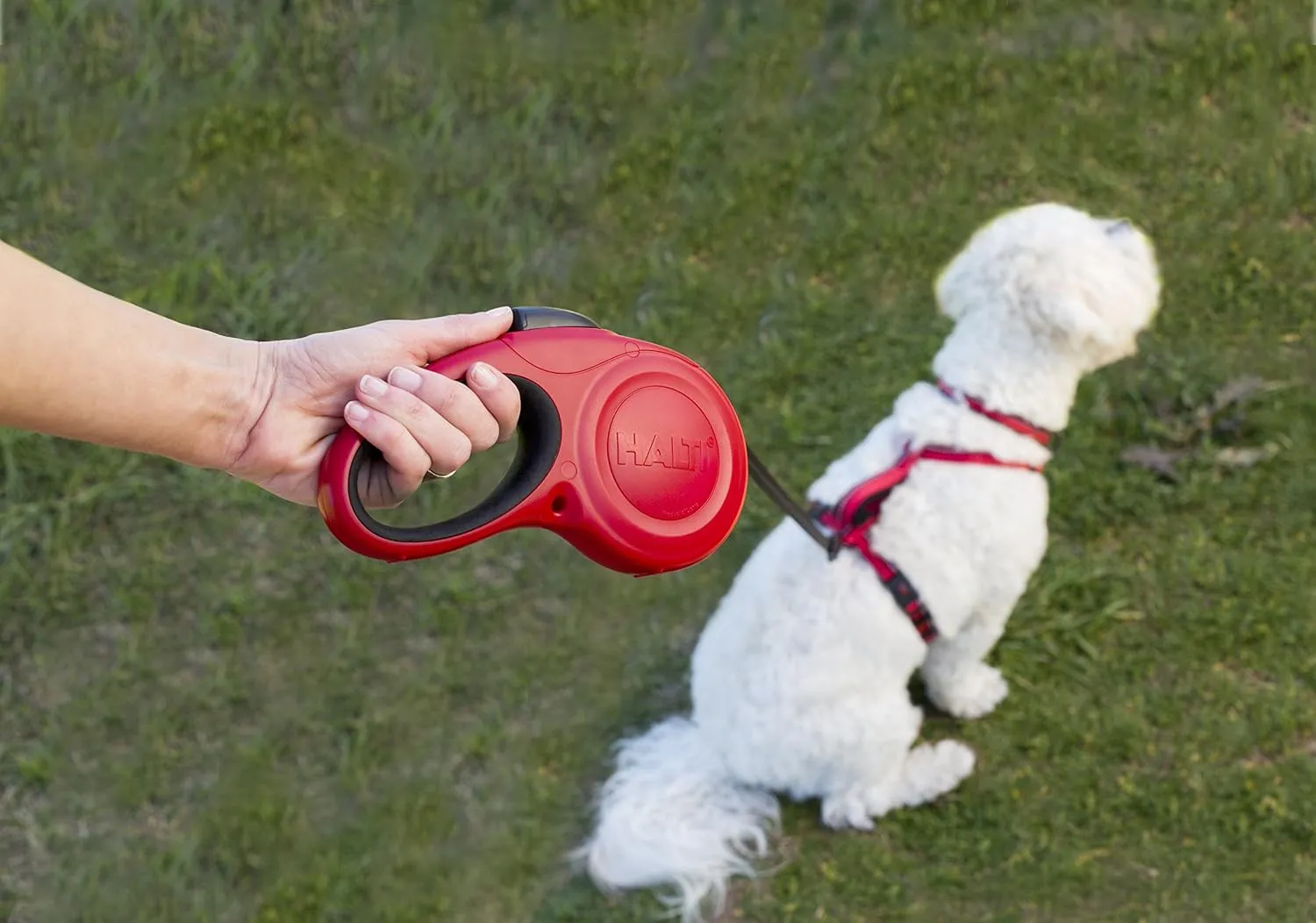 HALTI Retractable Leash for Dogs - Strong & Reflective Extendable Leash, Soft Gel Grip Handle, Easy to Use Brake & Lock. Suitable for Medium Dogs and Puppies (Size Medium, Red, 3m)