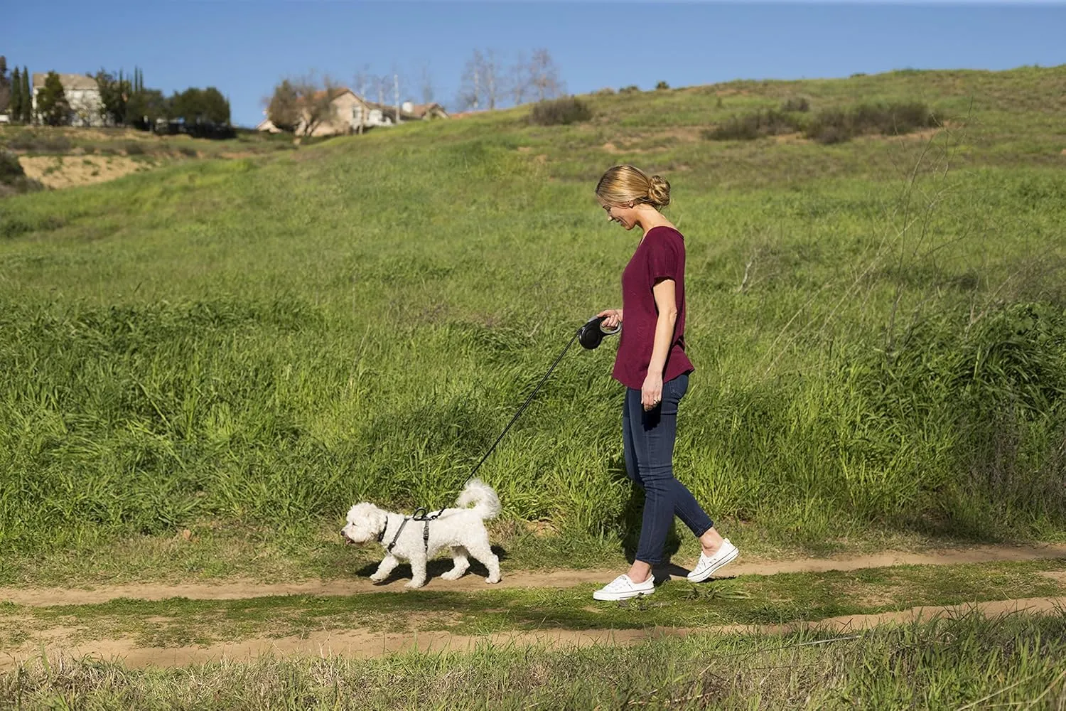 HALTI Retractable Leash for Dogs - Strong & Reflective Extendable Leash, Soft Gel Grip Handle, Easy to Use Brake & Lock. Suitable for Medium Dogs and Puppies (Size Medium, Red, 3m)