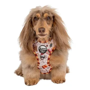 Harry Potter Adjustable Harness