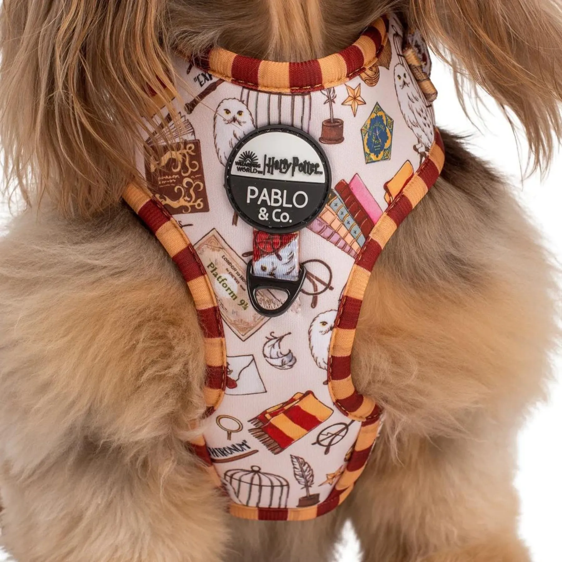 Harry Potter Adjustable Harness