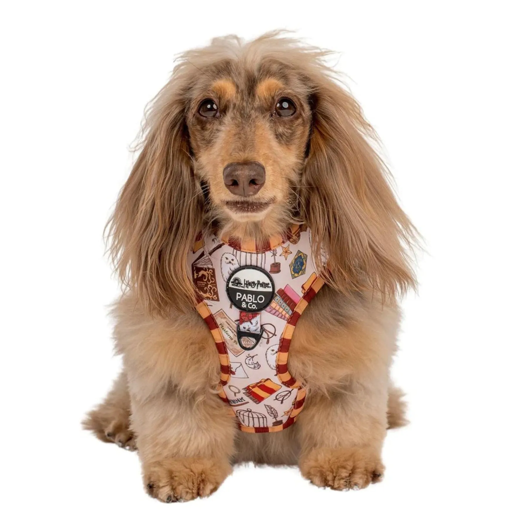 Harry Potter Adjustable Harness