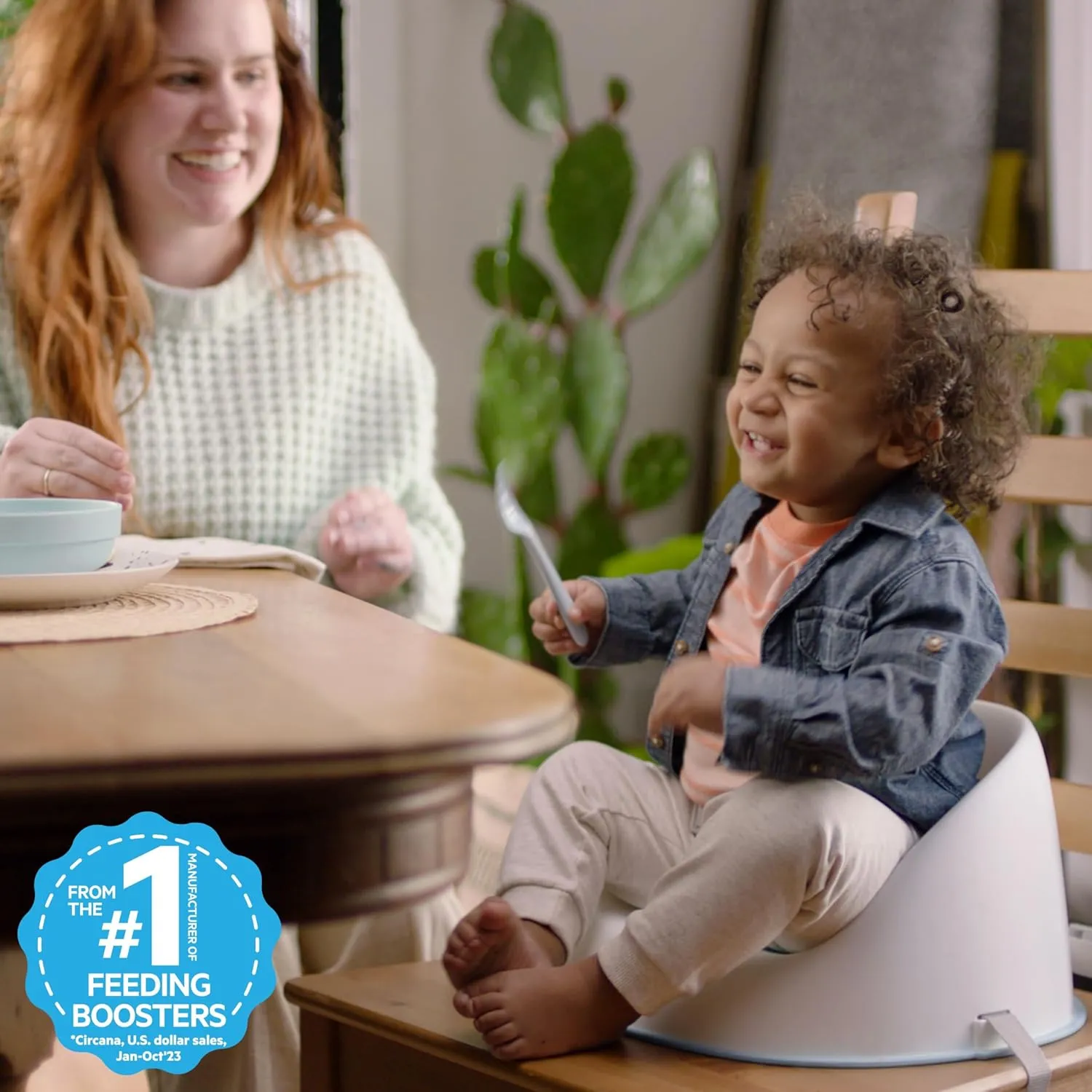 Ingenuity: ity by Ingenuity Simplicity Seat Easy-Clean Baby Booster Feeding Chair, 3-Point Harness, Washable Removable Straps - Grey
