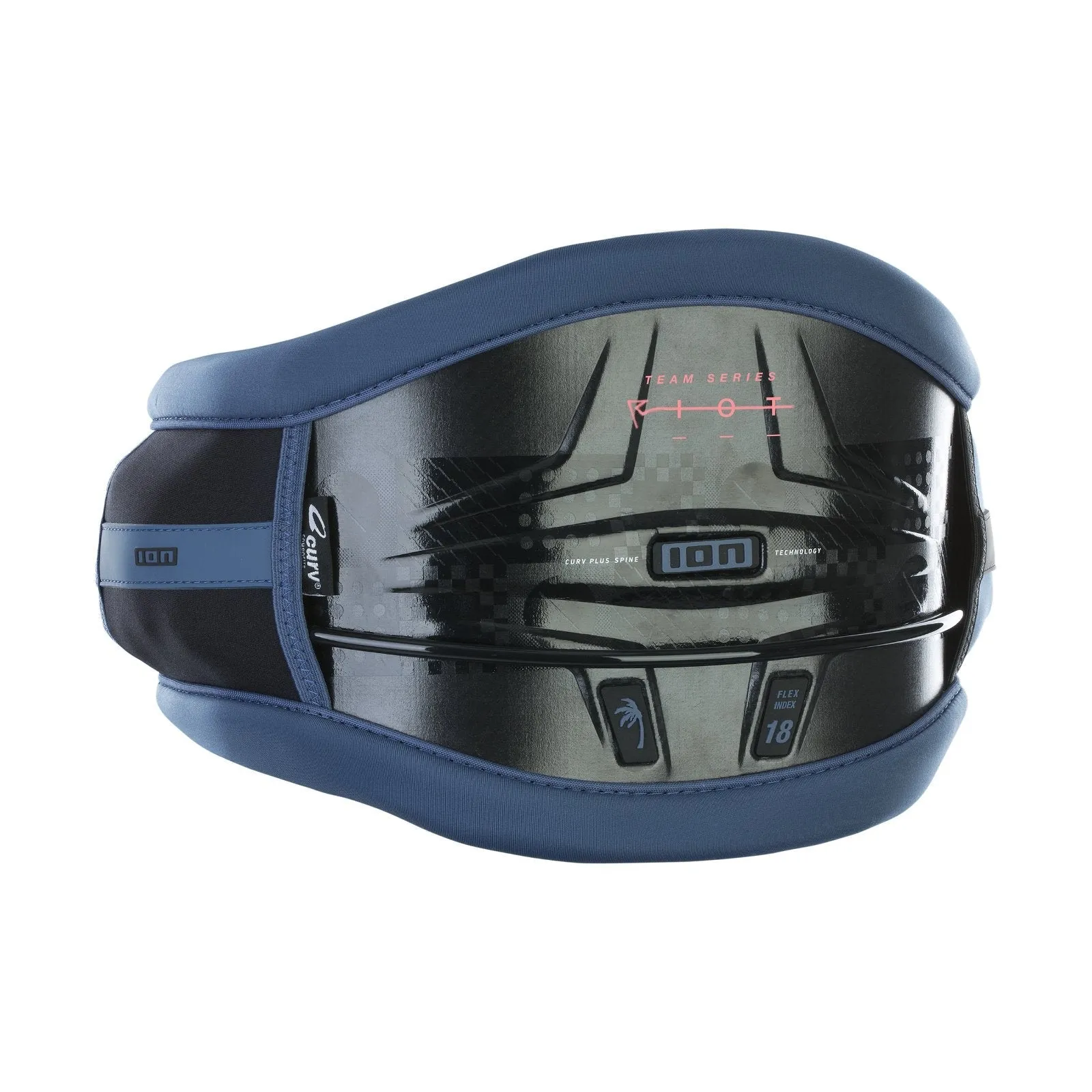ION Team Series 2024