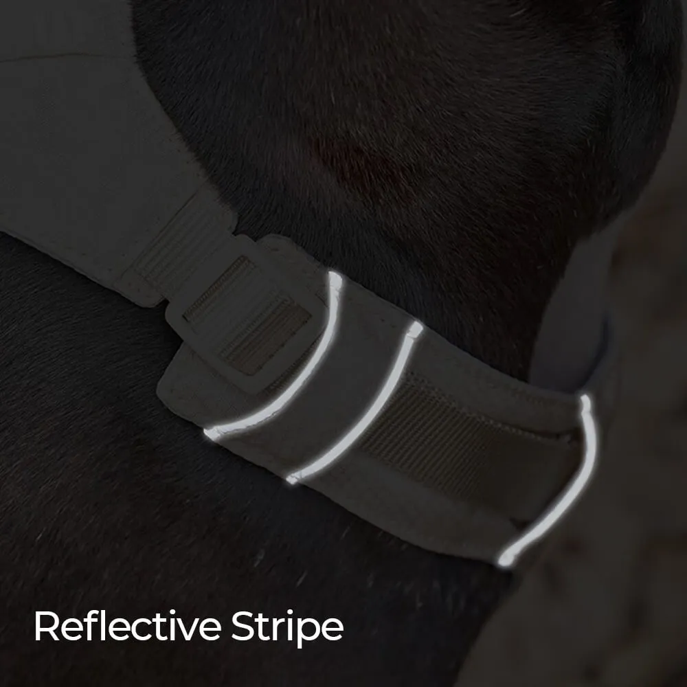 Lightweight Waterproof Breathable Anti-Pull Dog Harness or Multifunctional Lead