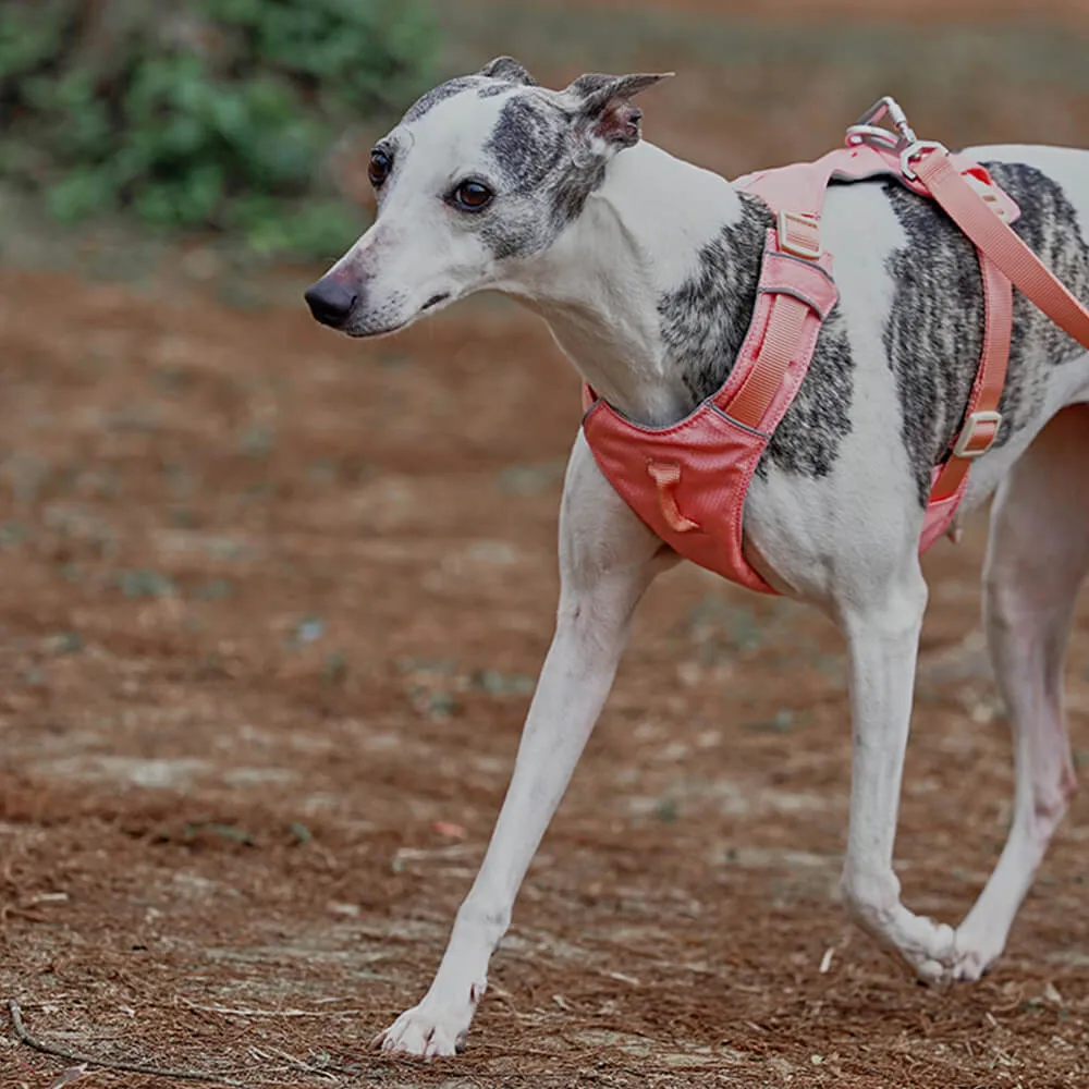 Lightweight Waterproof Breathable Anti-Pull Dog Harness or Multifunctional Lead