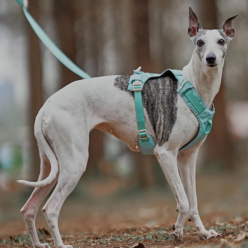 Lightweight Waterproof Breathable Anti-Pull Dog Harness or Multifunctional Lead