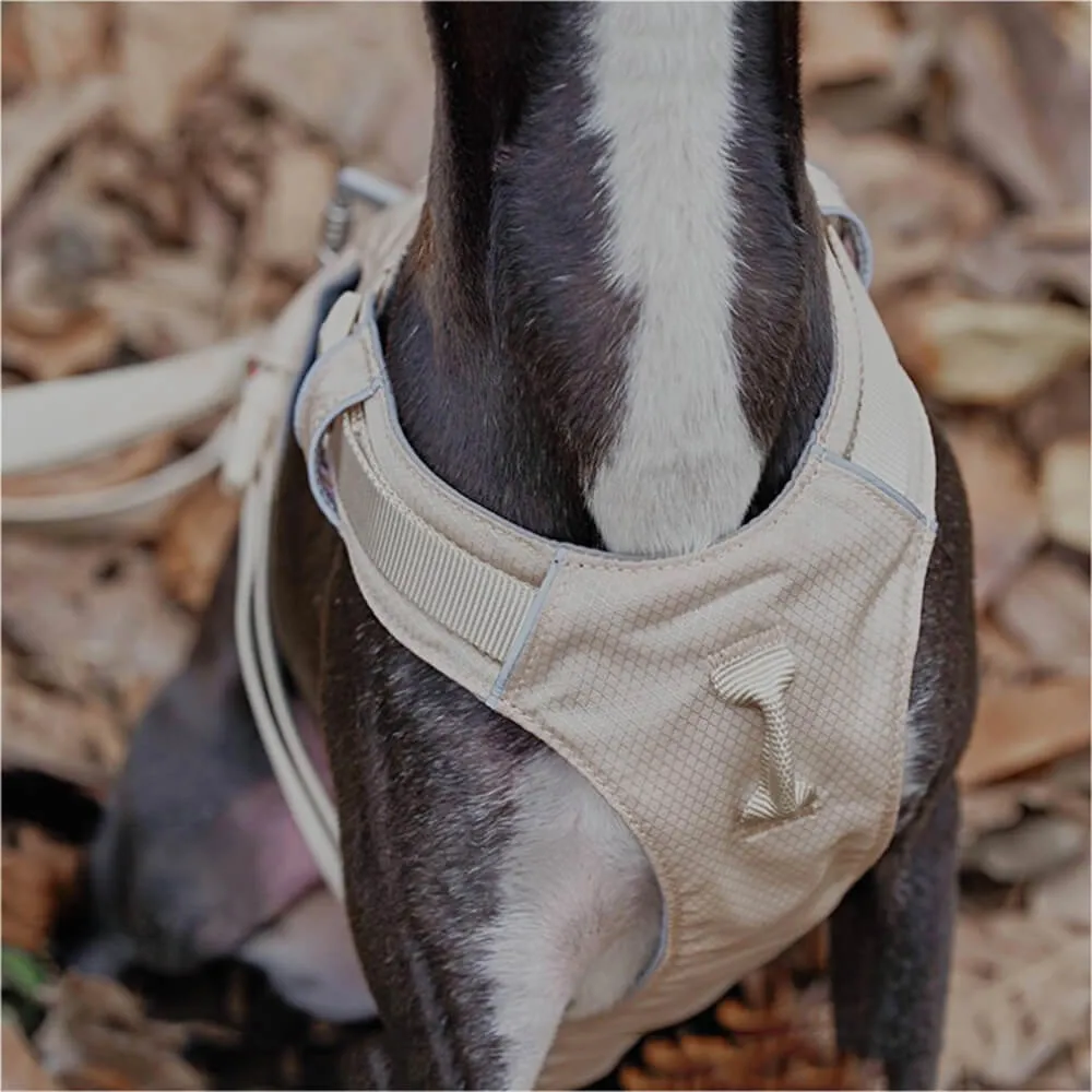 Lightweight Waterproof Breathable Anti-Pull Dog Harness or Multifunctional Lead