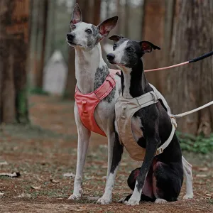 Lightweight Waterproof Breathable Anti-Pull Dog Harness or Multifunctional Lead