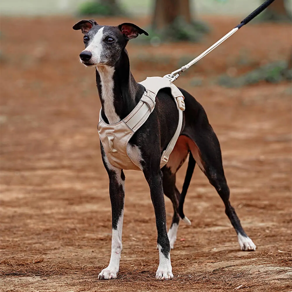 Lightweight Waterproof Breathable Anti-Pull Dog Harness or Multifunctional Lead