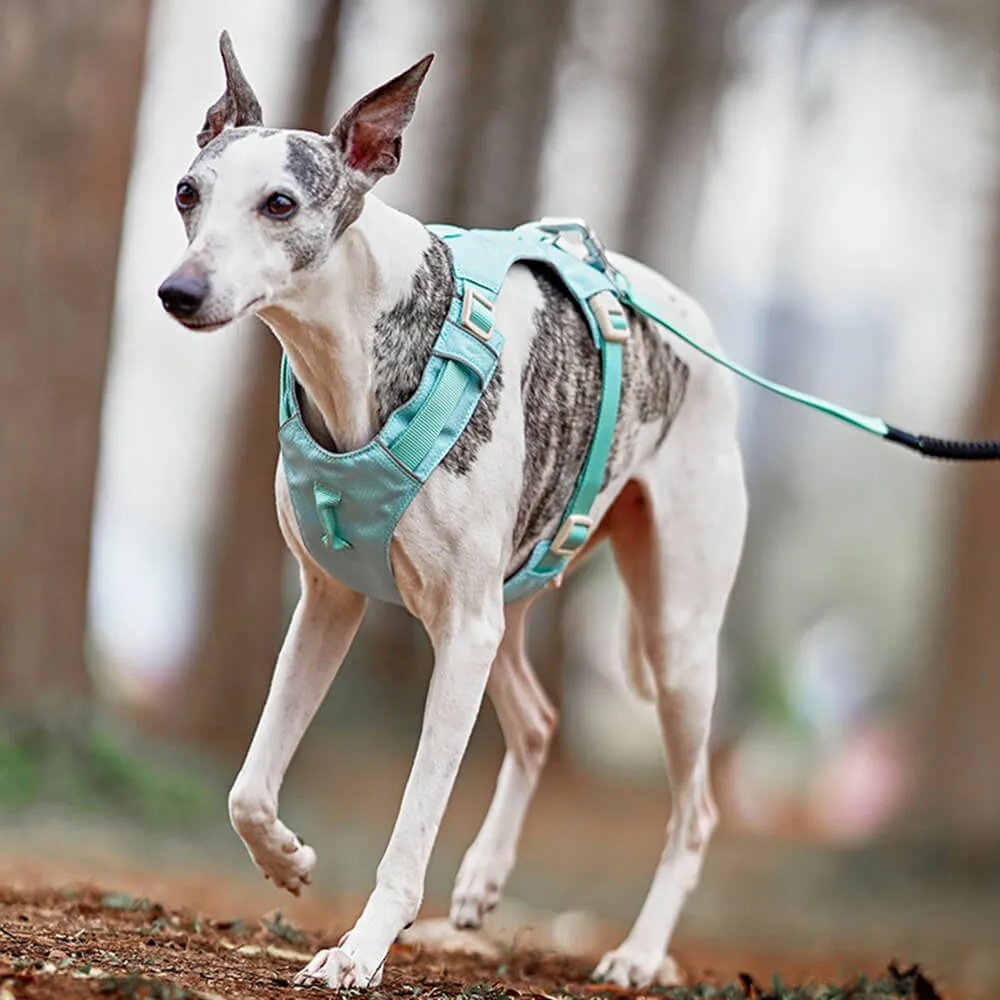 Lightweight Waterproof Breathable Anti-Pull Dog Harness or Multifunctional Lead