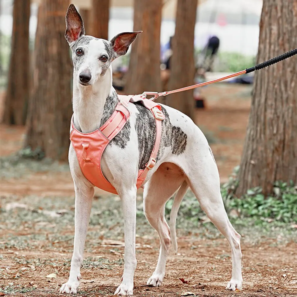 Lightweight Waterproof Breathable Anti-Pull Dog Harness or Multifunctional Lead