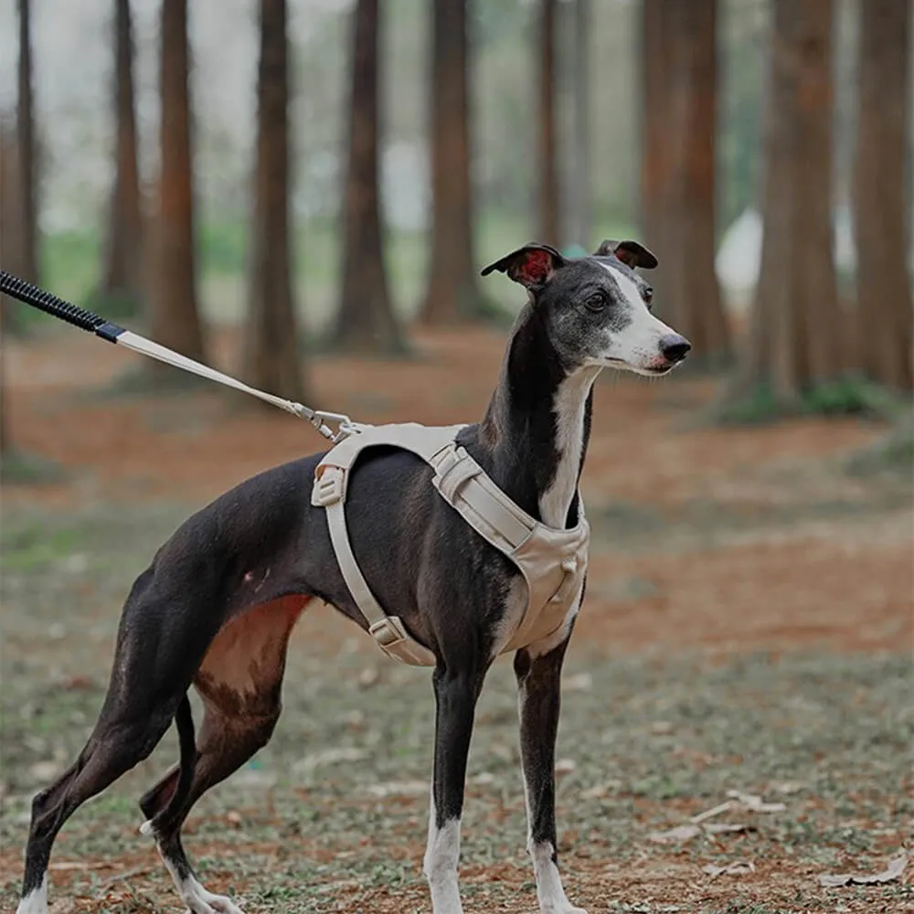 Lightweight Waterproof Breathable Anti-Pull Dog Harness or Multifunctional Lead