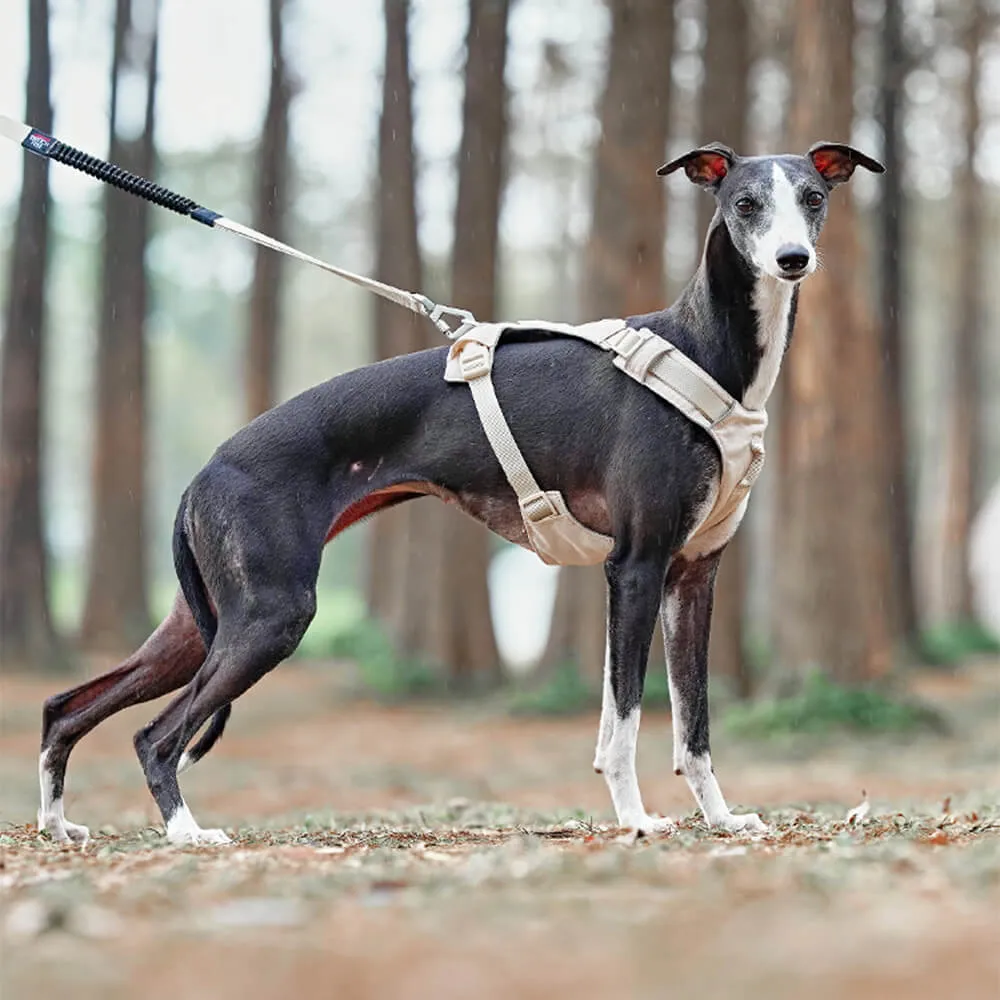 Lightweight Waterproof Breathable Anti-Pull Dog Harness or Multifunctional Lead