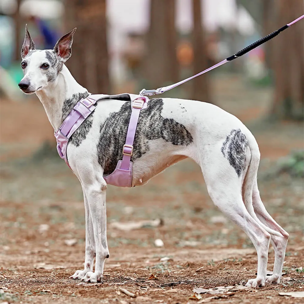 Lightweight Waterproof Breathable Anti-Pull Dog Harness or Multifunctional Lead