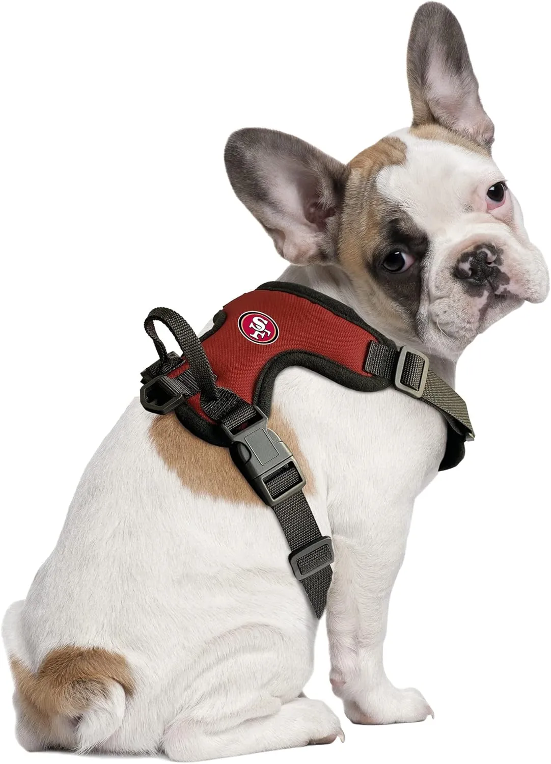 Littlearth NFL Unisex-Adult Front Clip Pet Harness