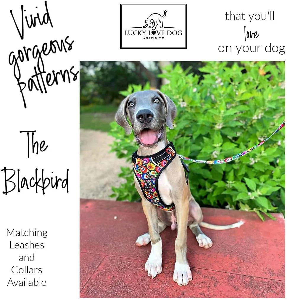 Lucky Love Dog No Pull Dog Harness, Adjustable and Easy to Walk, Cute Patterned Harness for Small Medium Large Male & Female Dogs - Blackbird, Large