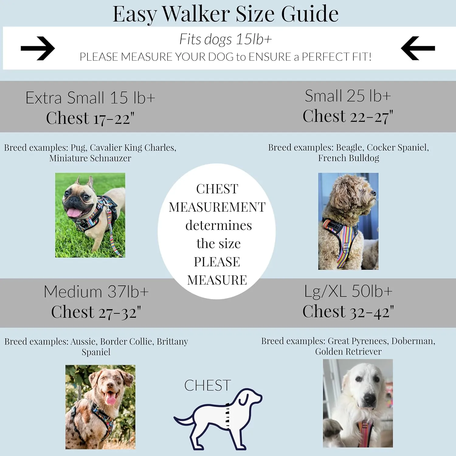 Lucky Love Dog No Pull Dog Harness, Adjustable and Easy to Walk, Cute Patterned Harness for Small Medium Large Male & Female Dogs - Blackbird, Large