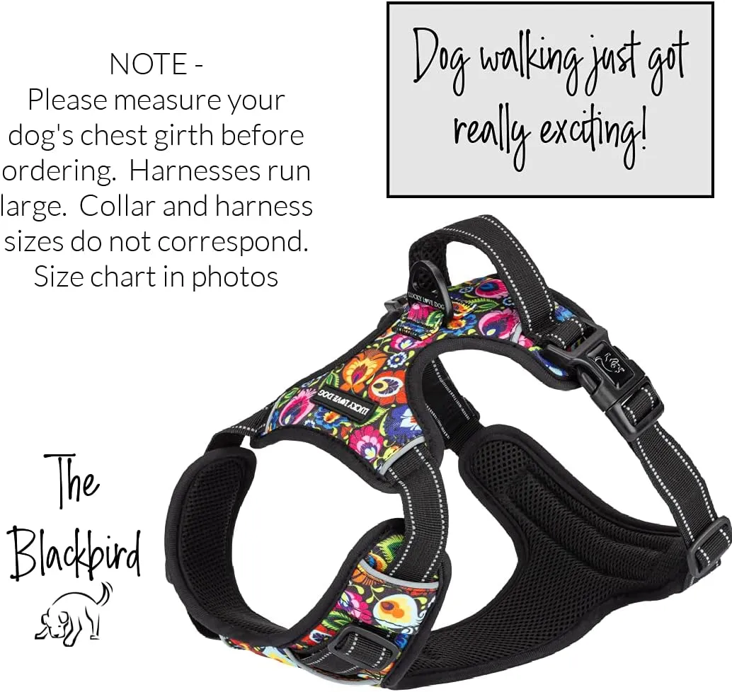 Lucky Love Dog No Pull Dog Harness, Adjustable and Easy to Walk, Cute Patterned Harness for Small Medium Large Male & Female Dogs - Blackbird, Large