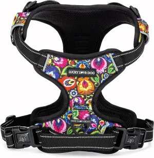 Lucky Love Dog No Pull Dog Harness, Adjustable and Easy to Walk, Cute Patterned Harness for Small Medium Large Male & Female Dogs - Blackbird, Large