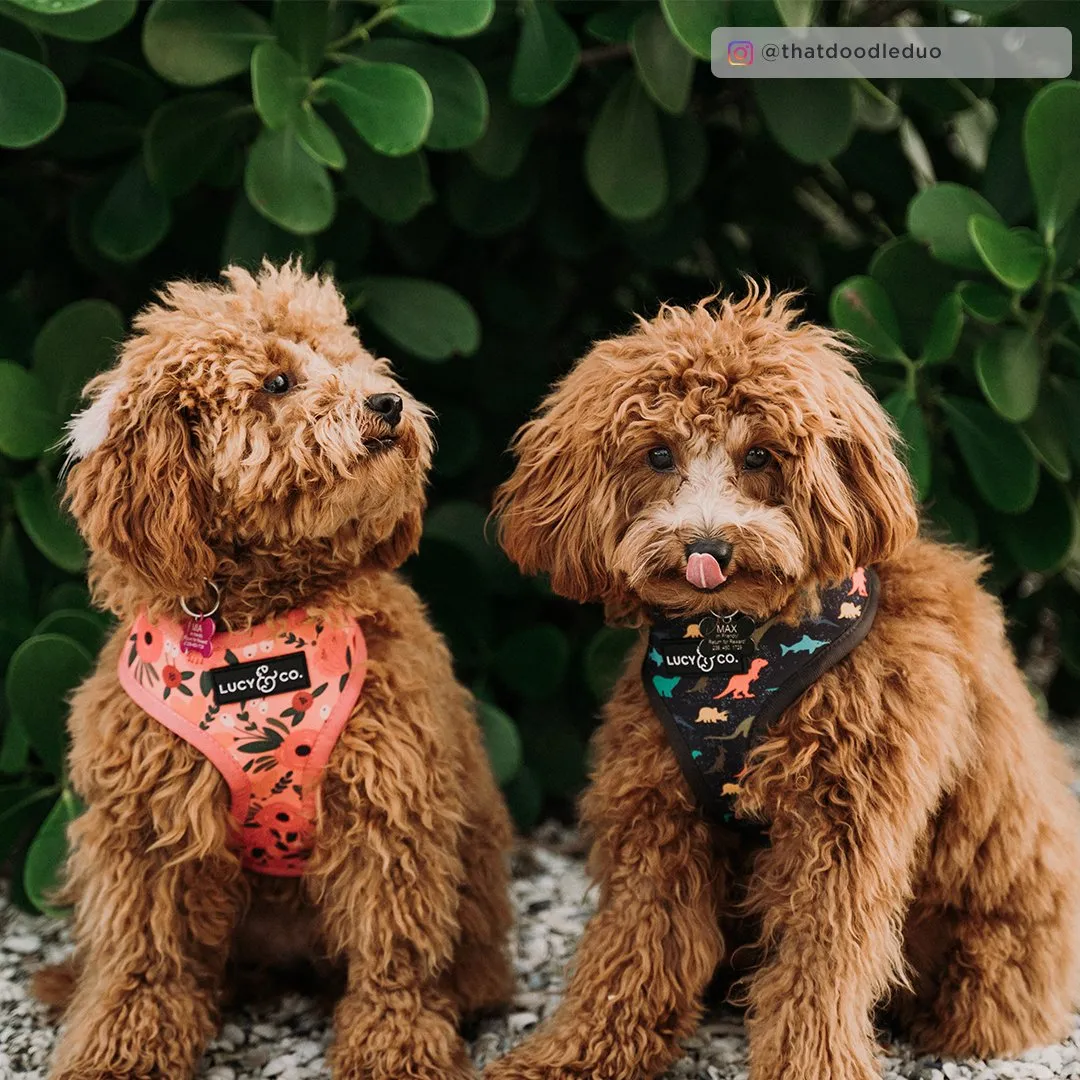 Lucy&Co Reversible Dog Harness: Posy Pink
