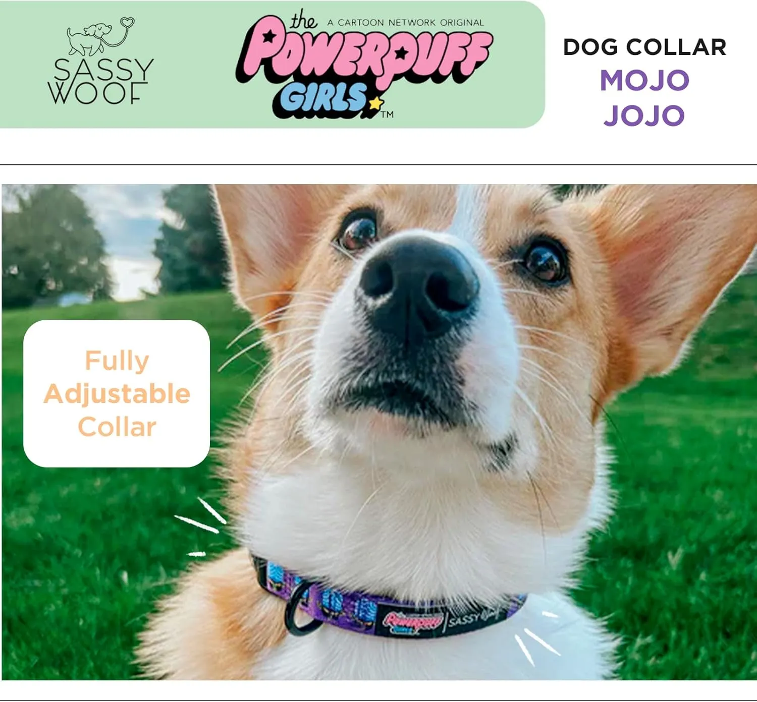 Mojo JoJo™ - M, Dog Collar, Adjustable, Durable, Comfortable and Stylish Pet Accessories for Medium Dogs - Officially Licensed