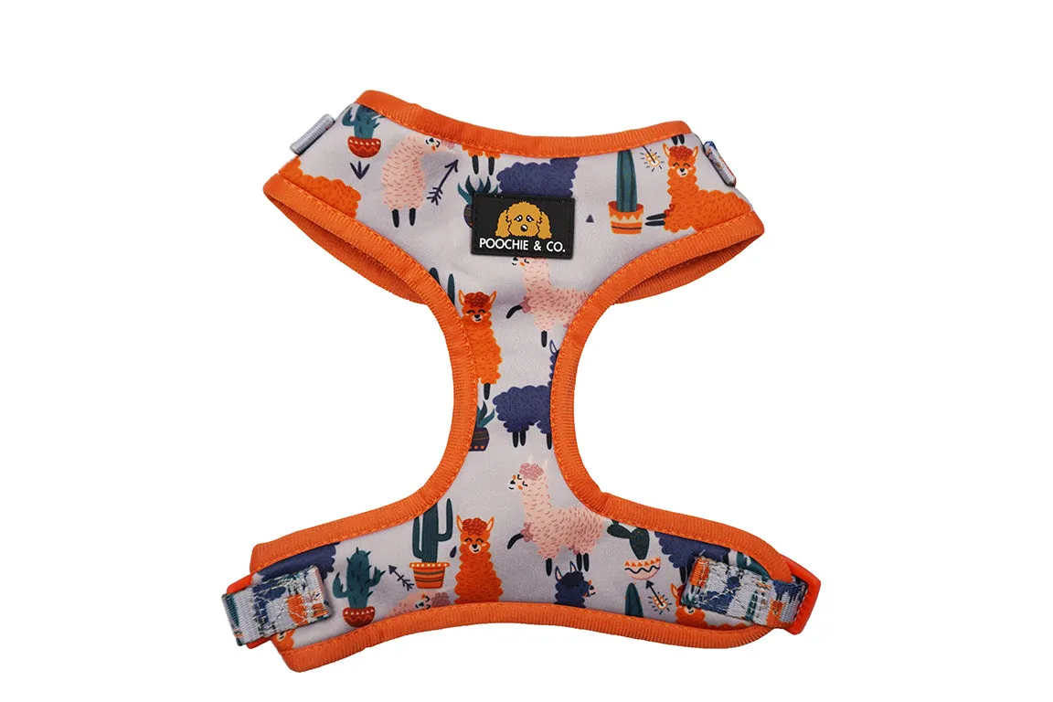 'No Probllama' Adjustable Harness