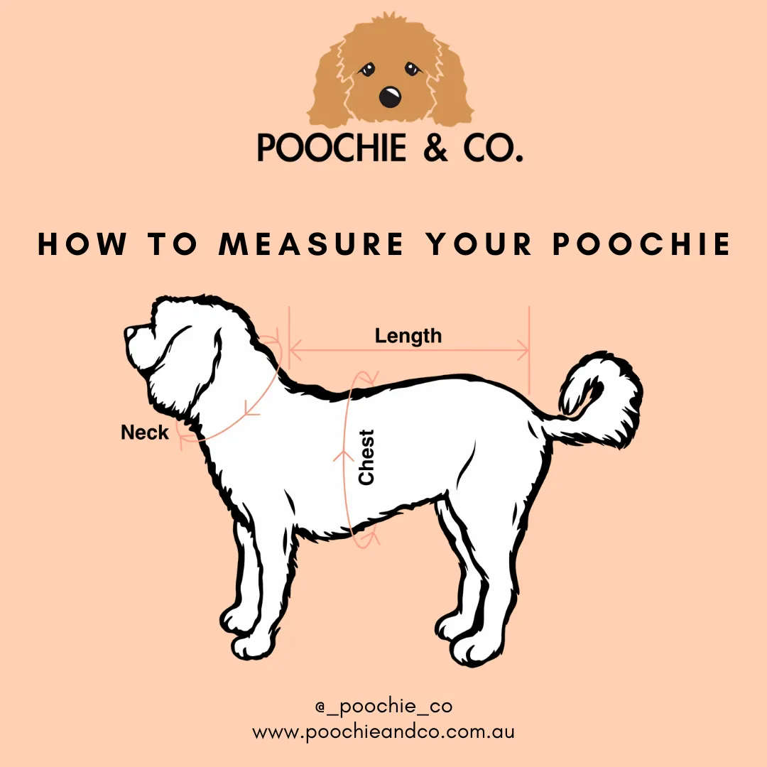 'No Probllama' Adjustable Harness