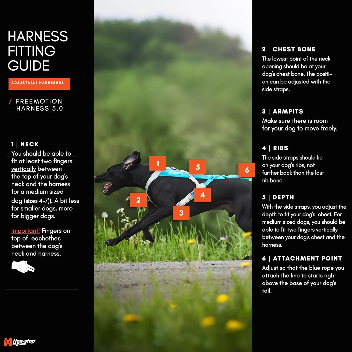Non-stop dogwear Freemotion Harness 5.0 Dog Pulling Harness for Sports Like Running, Biking and Skiing with Dogs, Professional Adjustable Dog Harness, Orange/Black, Size 4