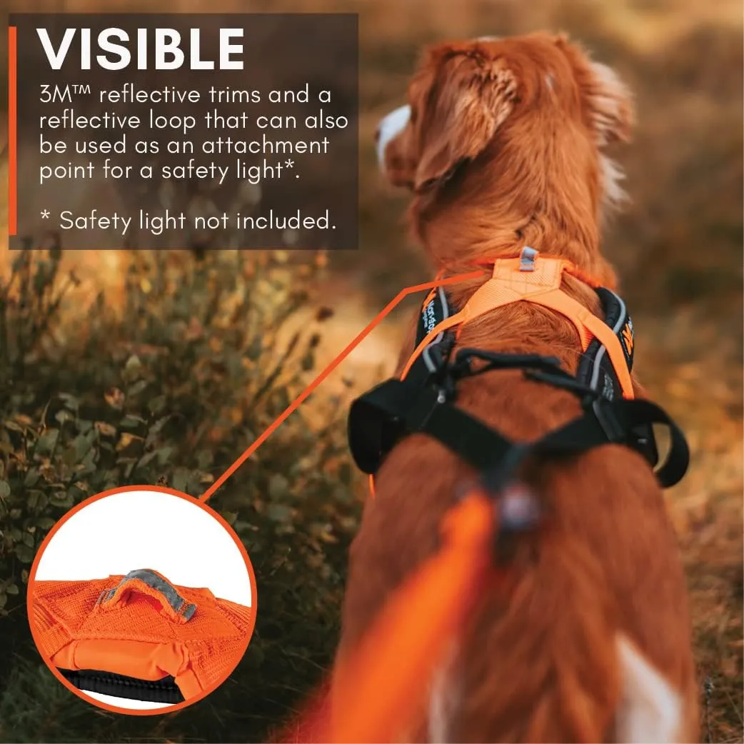 Non-stop dogwear Freemotion Harness 5.0 Dog Pulling Harness for Sports Like Running, Biking and Skiing with Dogs, Professional Adjustable Dog Harness, Orange/Black, Size 4