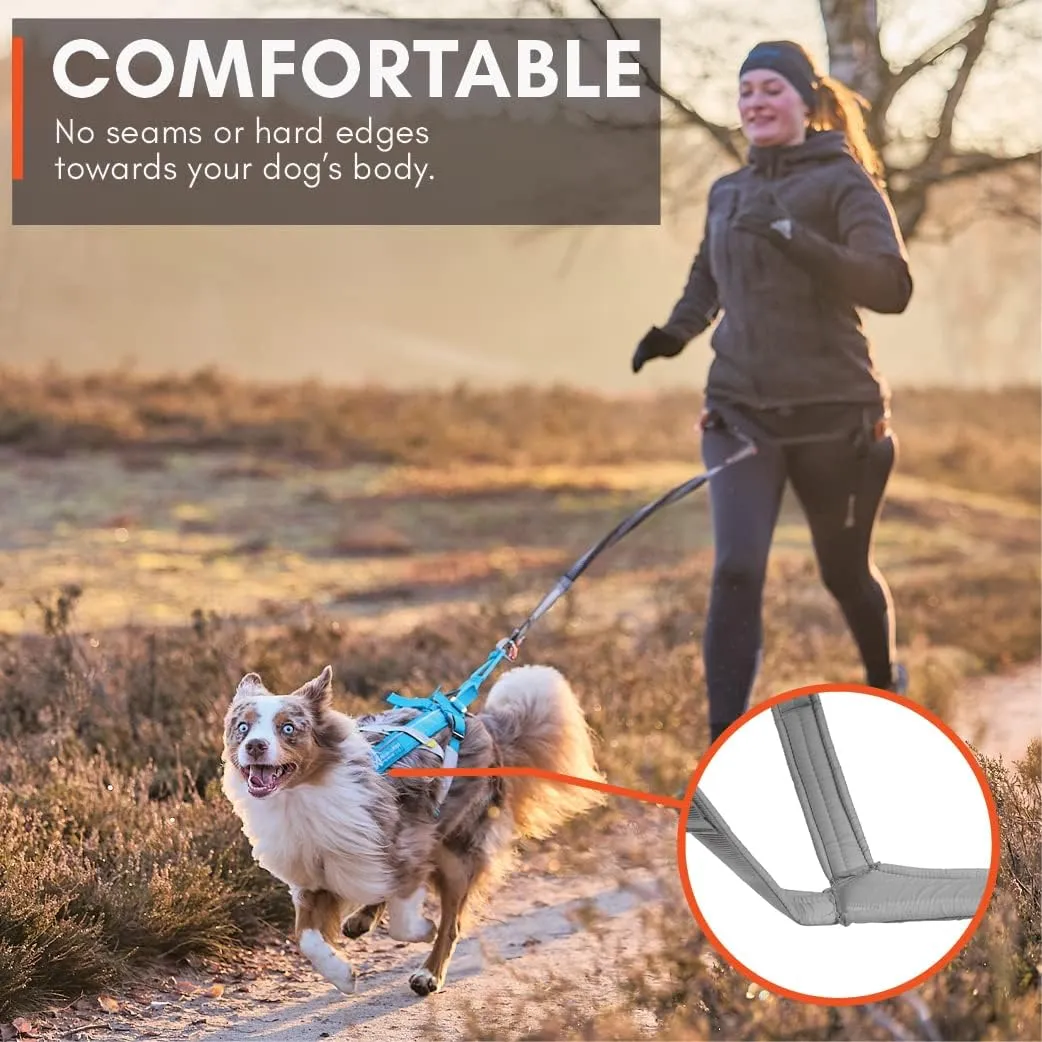 Non-stop dogwear Freemotion Harness 5.0 Dog Pulling Harness for Sports Like Running, Biking and Skiing with Dogs, Professional Adjustable Dog Harness, Orange/Black, Size 4