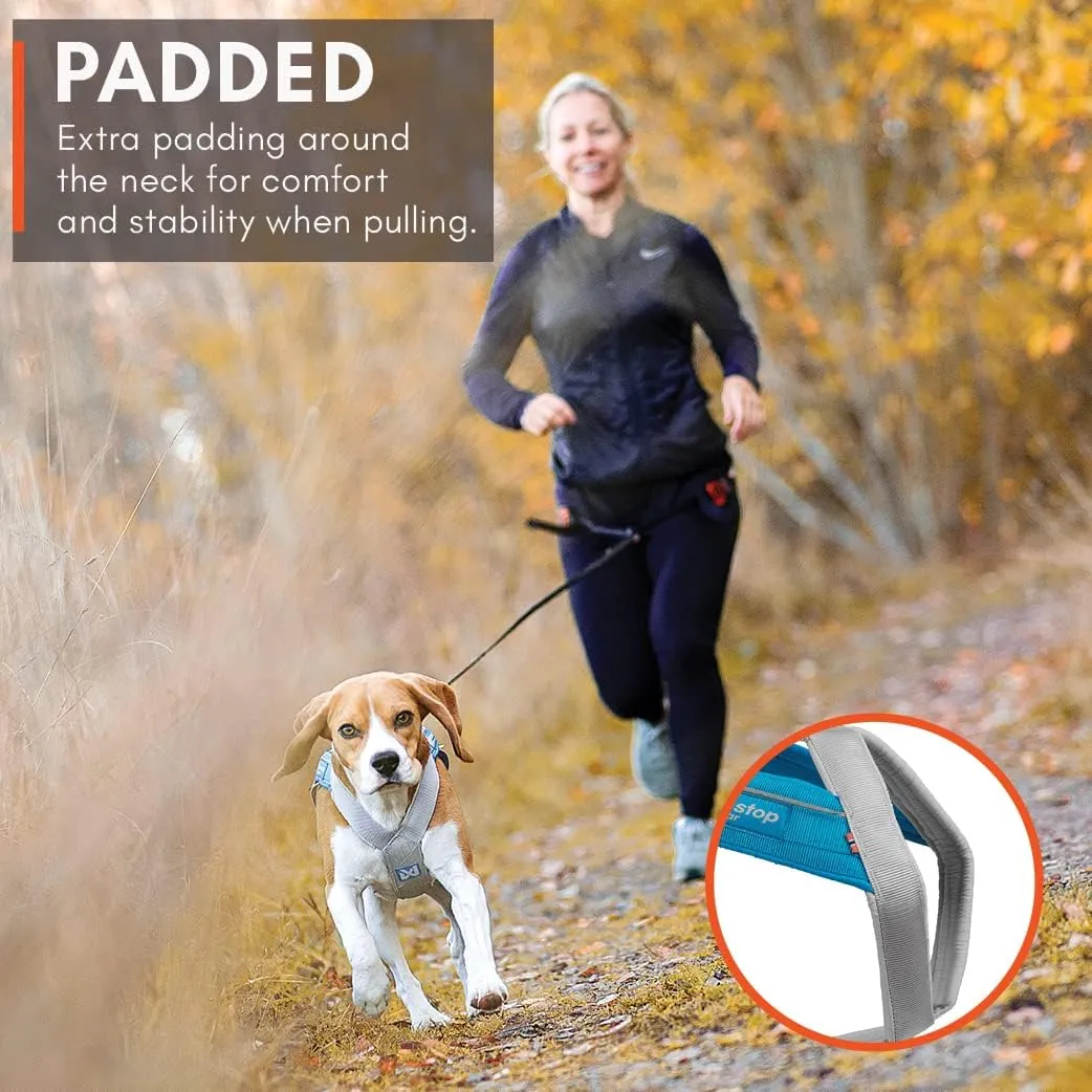 Non-stop dogwear Freemotion Harness 5.0 Dog Pulling Harness for Sports Like Running, Biking and Skiing with Dogs, Professional Adjustable Dog Harness, Orange/Black, Size 4