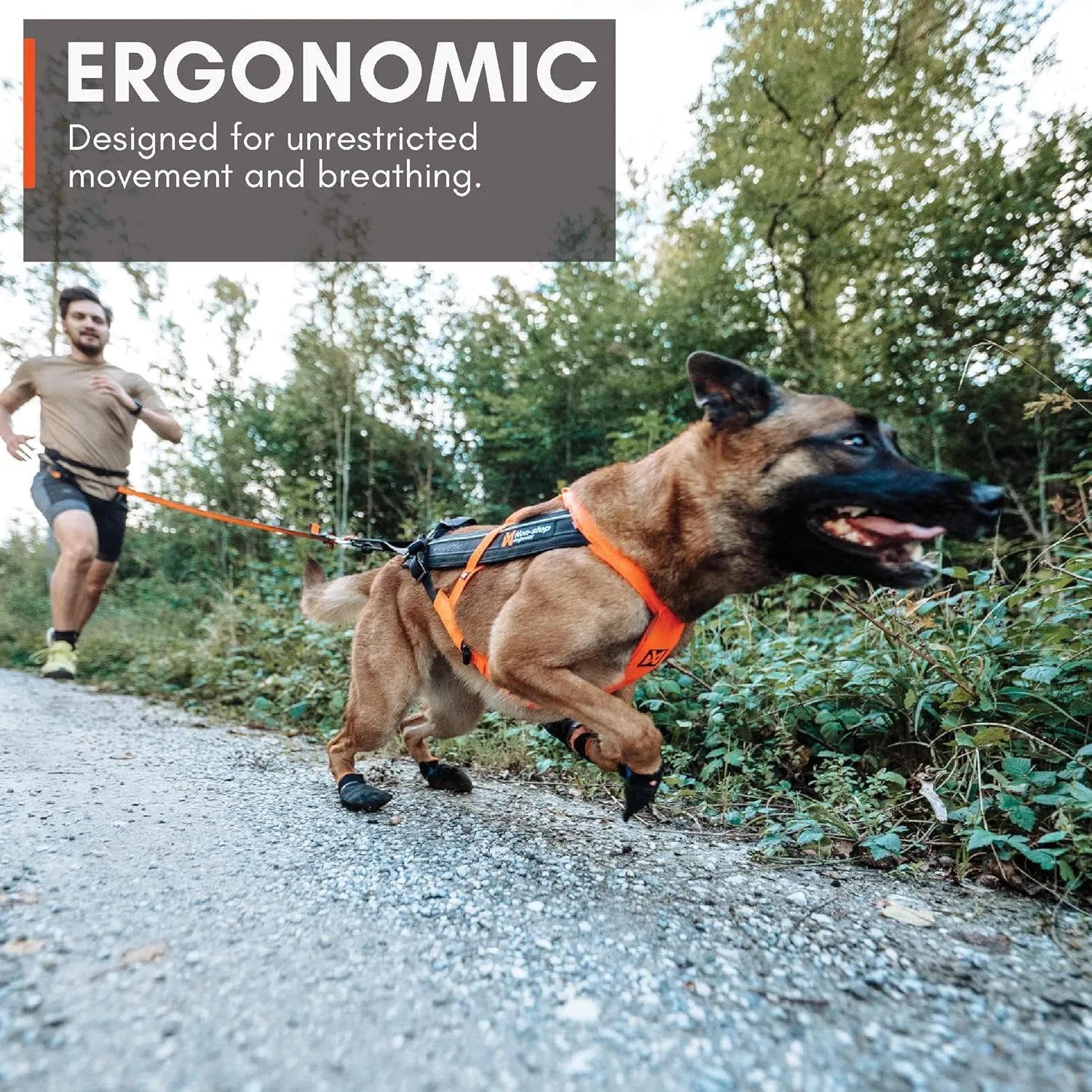 Non-stop dogwear Freemotion Harness 5.0 Dog Pulling Harness for Sports Like Running, Biking and Skiing with Dogs, Professional Adjustable Dog Harness, Orange/Black, Size 4