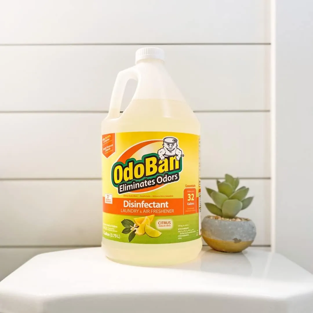 OdoBan Aroma Eliminator Set, 10 Ounce 360-Degree Continuous Spray Natural Oil Real Citrus Air Freshener and 1 Gallon Multipurpose Disinfectant Cleaning Concentrate, Orange Scent