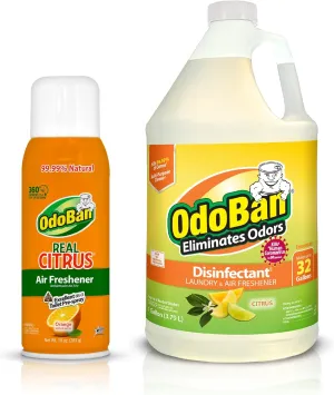 OdoBan Aroma Eliminator Set, 10 Ounce 360-Degree Continuous Spray Natural Oil Real Citrus Air Freshener and 1 Gallon Multipurpose Disinfectant Cleaning Concentrate, Orange Scent