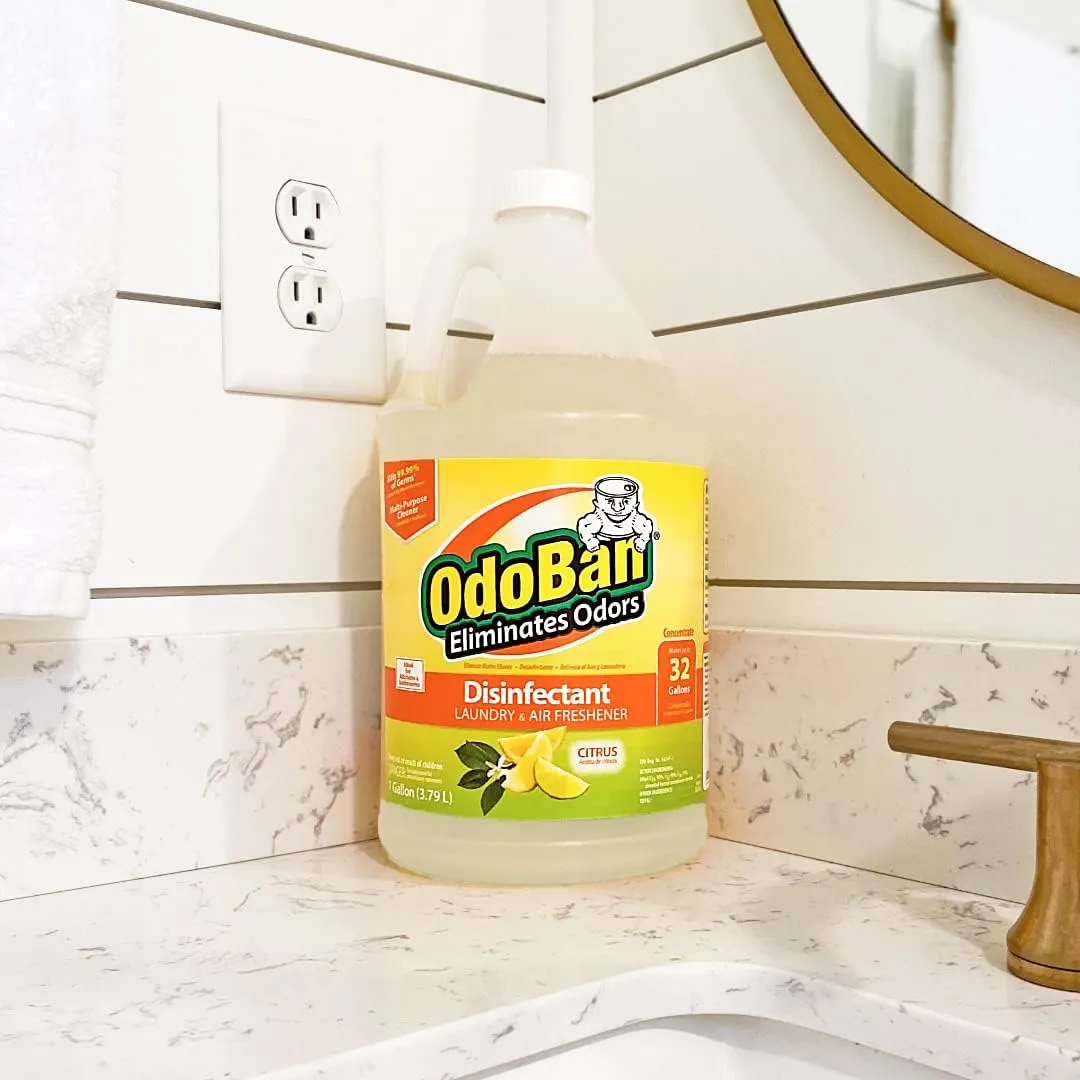 OdoBan Aroma Eliminator Set, 10 Ounce 360-Degree Continuous Spray Natural Oil Real Citrus Air Freshener and 1 Gallon Multipurpose Disinfectant Cleaning Concentrate, Orange Scent
