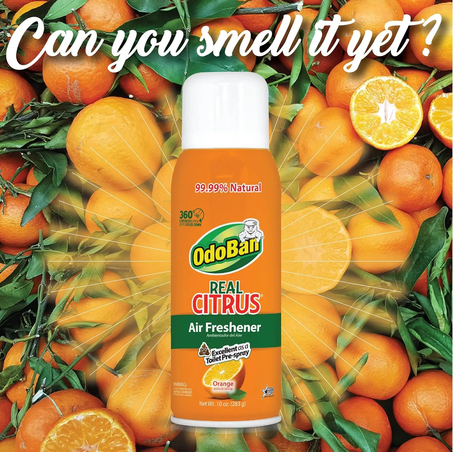 OdoBan Aroma Eliminator Set, 10 Ounce 360-Degree Continuous Spray Natural Oil Real Citrus Air Freshener and 1 Gallon Multipurpose Disinfectant Cleaning Concentrate, Orange Scent