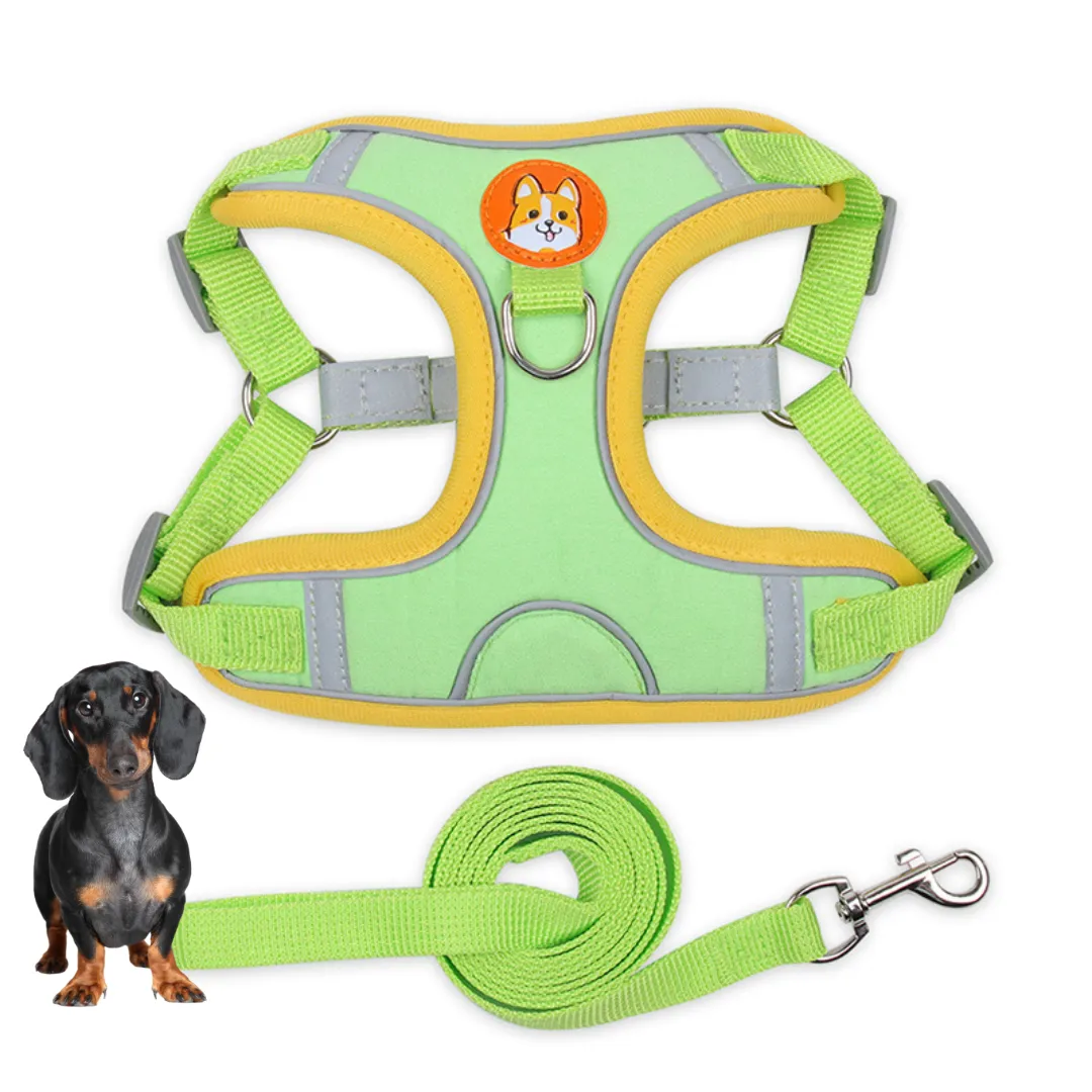 PawStride Doxie Reflective Harness & Leash