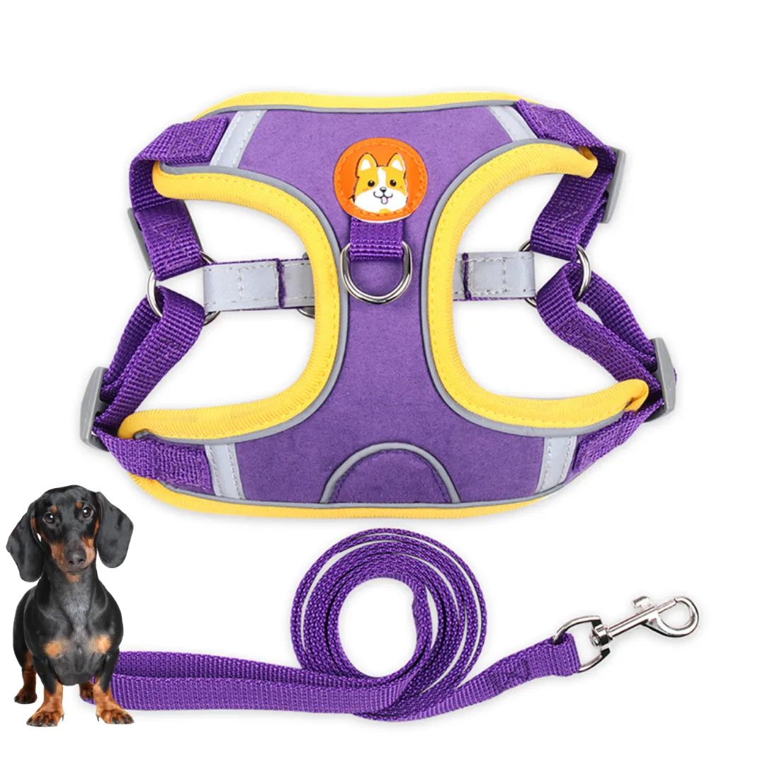 PawStride Doxie Reflective Harness & Leash