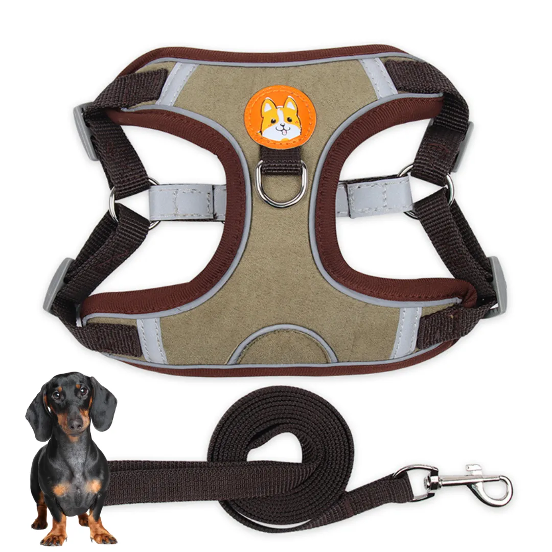 PawStride Doxie Reflective Harness & Leash
