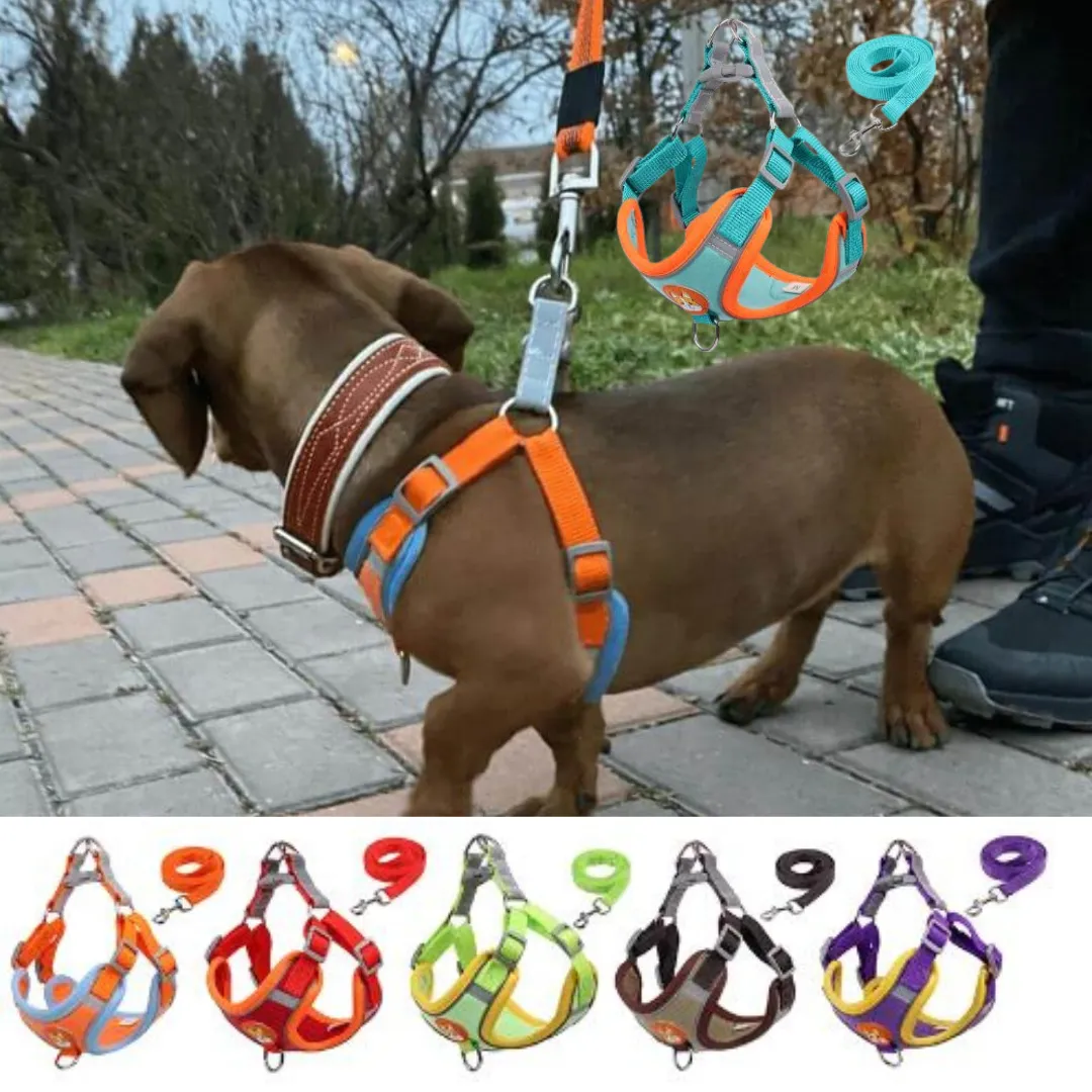 PawStride Doxie Reflective Harness & Leash