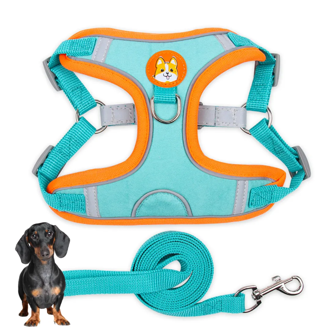 PawStride Doxie Reflective Harness & Leash