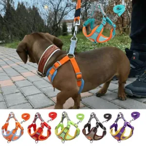 PawStride Doxie Reflective Harness & Leash