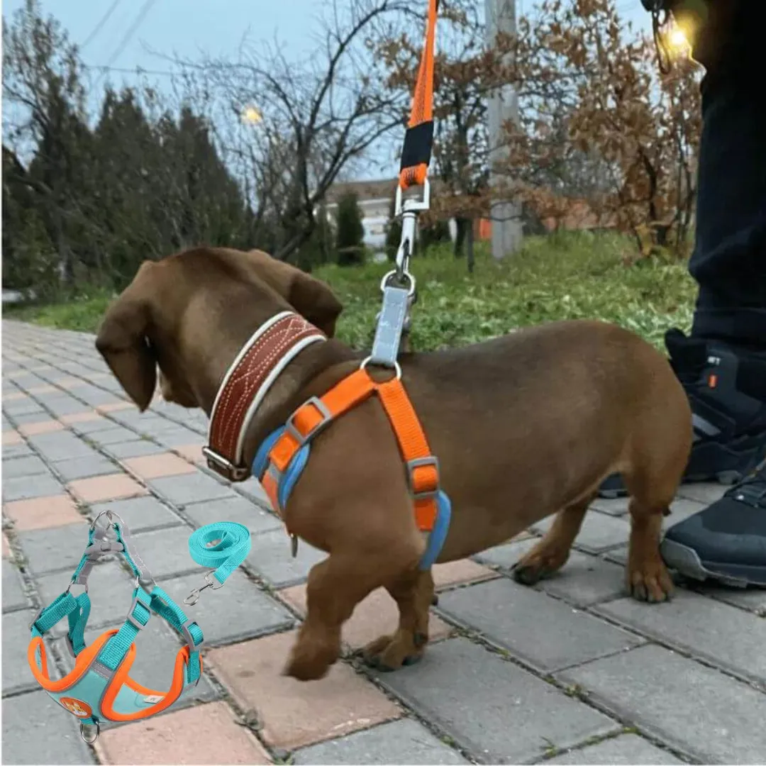 PawStride Doxie Reflective Harness & Leash