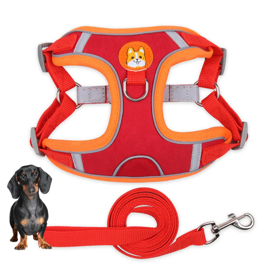 PawStride Doxie Reflective Harness & Leash