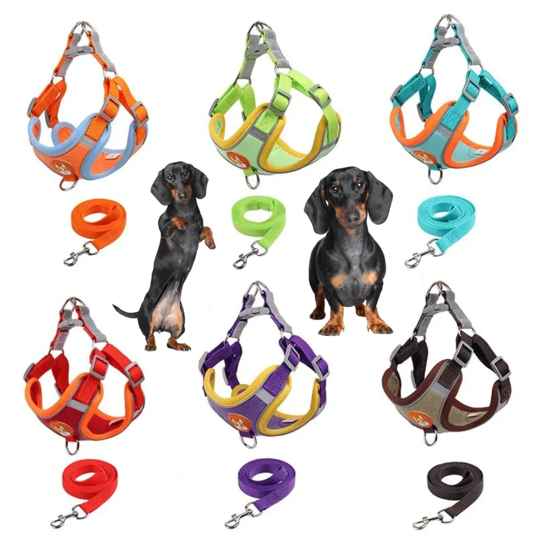 PawStride Doxie Reflective Harness & Leash