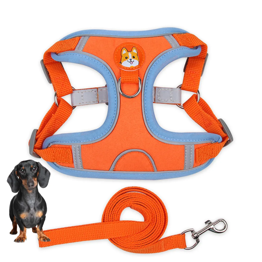 PawStride Doxie Reflective Harness & Leash