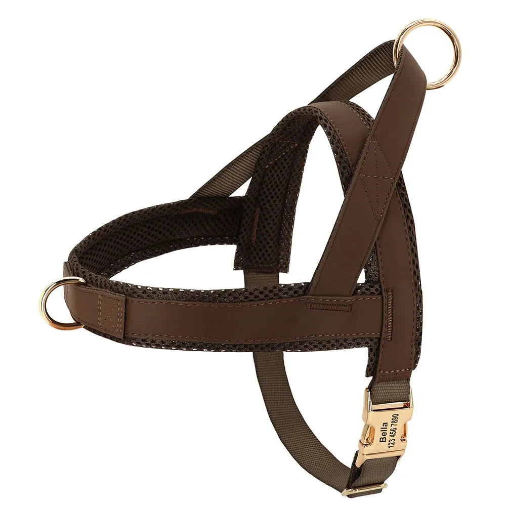 Personalized Adjustable Dog Harness