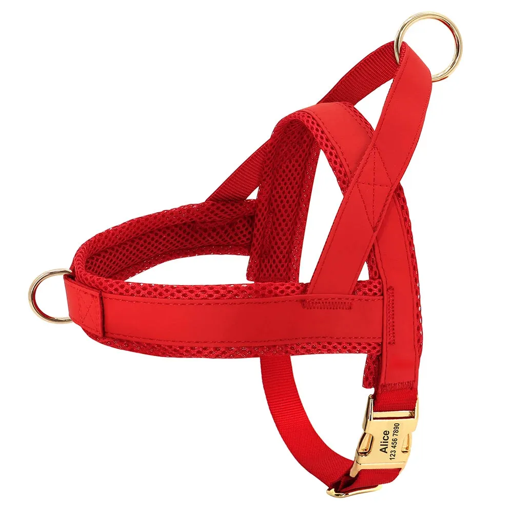 Personalized Adjustable Dog Harness